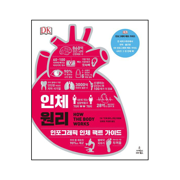 인체 원리